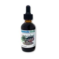 Tintura Ganesha Herbs SURAMAX Pine Needle Complex 60mL