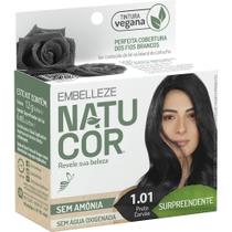 Tintura Natucor em Pó Pequena 1.01 Preto Carvão Tintura Natucor em Pó Pequena 1.01 Preto Carvão