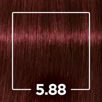 Tintura Profissional Igora Castanho Claro Vermelho Extra 5.88 Tintura Profissional Igora Castanho Claro Vermelho Extra 5.88