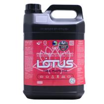 Tira manchas percabonato de sódio poderoso avejante tecidos 5kg g&s