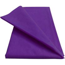 TNT 60g Colorido - 05 metros (Escolha a Cor) TNT 60g Colorido - 05 metros (Escolha a Cor)