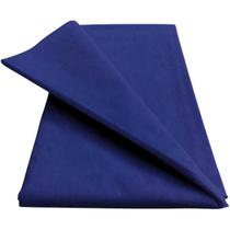 TNT Colorido 40g - 25 Metros (Escolha a Cor)