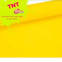 TNT Liso gramatura 40 vendido por metro