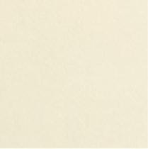 TNT Tecido não tecido - 8 METROS - GRAMATURA 40