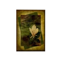 Toalha 3dRose Vintage Magnolia TWL_41442_1 38 x 56 cm Toalha 3dRose Vintage Magnolia TWL_41442_1 38 x 56 cm
