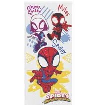 Toalha de Banho Felpuda Infantil 60cm x 1,10cm Lepper - Spidey