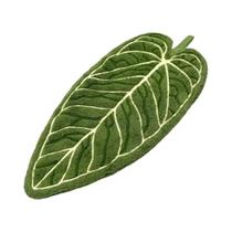 Toalha De Folha De Veludo Coral Absorvente E Espessa Para Limpeza De Cozinha, Sem Queda De Pelos,