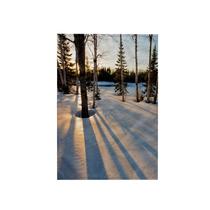 Toalha de mão 3dRose 3D Rose Trees Medawisla Wilderness Camps