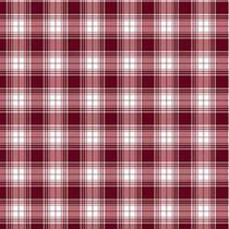 Toalha De Mesa Térmica impermeável retangular Xadrez Vermelho e branco 10 Peças De 2 Metros