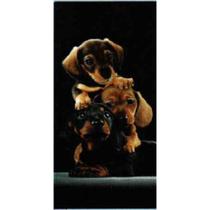 Toalha de Praia Buettner Aveludada Cachorros - 70x150cm
