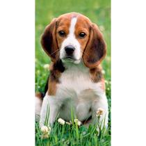 Toalha De Praia Buettner Veludo Estampada Beagle Verde Toalha De Praia Buettner Veludo Estampada Beagle Verde