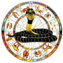 Toalha Esotérica Serpente Signos Astrologia Transformação - Mandalas e Rituais