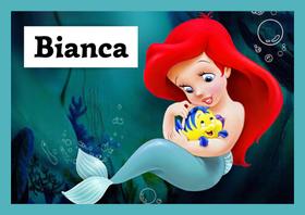 Toalha princesas da disney Tamanho 21x29,5 cm infantil com nome BIANCA