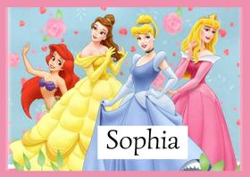 Toalha princesas da disney Tamanho 21x29,5 cm infantil com nome SOPHIA