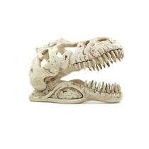 Toca Em Resina Cranio De T-Rex Pequena Para Répteis E Aracnídeos