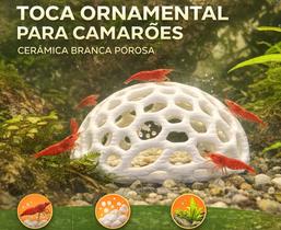 Toca Esconderijo Para Camarão De Aquário Toca Esconderijo Para Camarão De Aquário