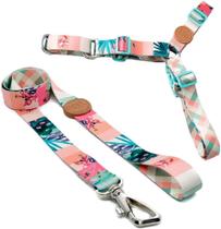 Toh Conjunto Peitoral Antipuxão E Guia Laguna - G