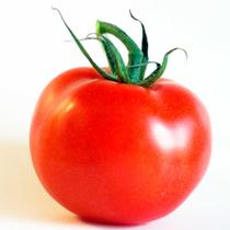 Tomate Bagé Híbrido F1- 1.000 Semenets / 2,3gr Tomate Bagé Híbrido F1- 1.000 Semenets / 2,3gr