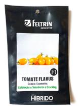 Tomate Flavus Hibrido F1 - 9mg/ 5 Sementes