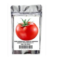 Tomate Híbrido Sta Cruz Bravo F1 Original - 250 Sementes