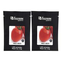 Tomate Jonatas Feltrin 2000 Sementes cultivar saladete de alto brilho Tomate Jonatas Feltrin 2000 Sementes cultivar saladete de alto brilho