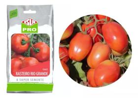 Tomate Rasteiro Rio Grande 30.000 Sementes / 50 Gramas