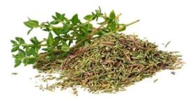 Tomilho Desidratado 100g Tomilho Desidratado 100g