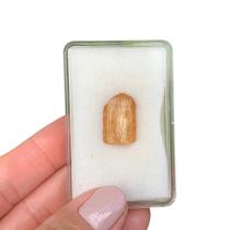 Topázio Imperial Bruto Coleção 15,79ct / 3,15gr Topázio Imperial Bruto Coleção 15,79ct / 3,15gr