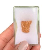 Topázio Imperial Bruto Coleção 19,24ct / 3,84gr Topázio Imperial Bruto Coleção 19,24ct / 3,84gr