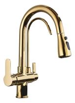 Torneira Cozinha Gourmet Pia Mesa Filtro Dourada Duas Saídas Pia Monocomando Quente e Frio Misturador Moderna