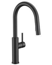 Torneira de Cozinha FORIOUS em Aço Inoxidável Preto Fosco 44 cm Torneira de Cozinha FORIOUS em Aço Inoxidável Preto Fosco 44 cm