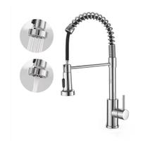 Torneira De Cozinha Gourmet Alça Única Com Extensor De Spray Tubo De Água Flexível Superior Prateado Para Ajuste