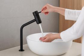 Torneira Para Banheiro Bica Baixa Para Lavabo Preto FC-125