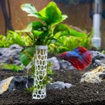Torre Musgo e Plantas Aquário Decoração Torre Musgo e Plantas Aquário Decoração