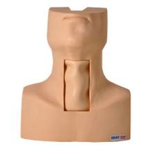 Torso Humano para Traqueostomia Simulador Médico