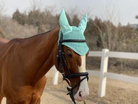 Touca para Orelhas de Cavalo TGW RIDING em Crochê Mint Completa