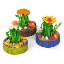 Toy Chew Toy PH Prevue Hendryx Succulent MiniGarden, pacote com 3