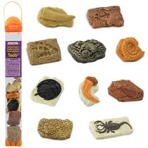 Toy Figurines Safari Ltd. Ancient Fossils TOOB para crianças a partir de 3 anos