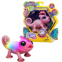 Toy Little Live Pets Lil' Chameleon S2, pacote único, Nova