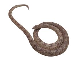 Toy Rubber Snake COTOSEY 53 cm, falsificação realista para brincadeiras Toy Rubber Snake COTOSEY 53 cm, falsificação realista para brincadeiras