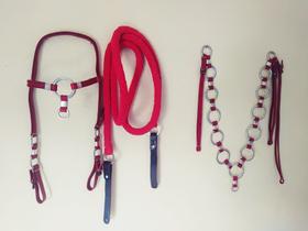 Traia Vermelha Cabeçada Peitoral E Redea Lã P Mula Cavalo