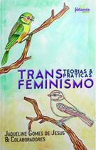 Transfeminismo - teorias e praticas - METANOIA