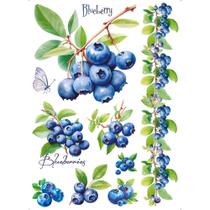 Transfer Têxtil 20x27,5cm TTR6-032 Blueberry - Litoarte Transfer Têxtil 20x27,5cm TTR6-032 Blueberry - Litoarte