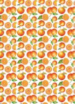 Transfer Têxtil Litoarte 20x27,5cm TTR6-023 Laranja II Transfer Têxtil Litoarte 20x27,5cm TTR6-023 Laranja II