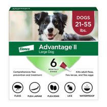 Tratamento e prevenção de pulgas Advantage II para cães grandes de 21 a 55 libras