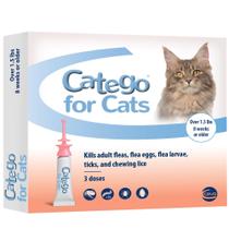 Tratamento e Prevenção de Pulgas e Carrapatos em Gatos Tratamento e Prevenção de Pulgas e Carrapatos em Gatos