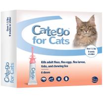 Tratamento e Prevenção de Pulgas e Carrapatos em Gatos Tratamento e Prevenção de Pulgas e Carrapatos em Gatos