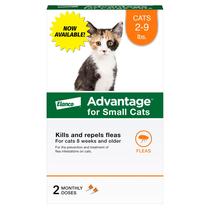 Tratamento e prevenção de pulgas para gatos pequenos Advantage 2-9lb Tratamento e prevenção de pulgas para gatos pequenos Advantage 2-9lb