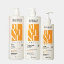 Tratamento Hidratação Instantânea Brush Escova Acetinada kit Profissional Divine Concept