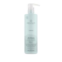 Tratamento Intensivo Awapuhi Wild Ginger Paul Mitchell 500mL